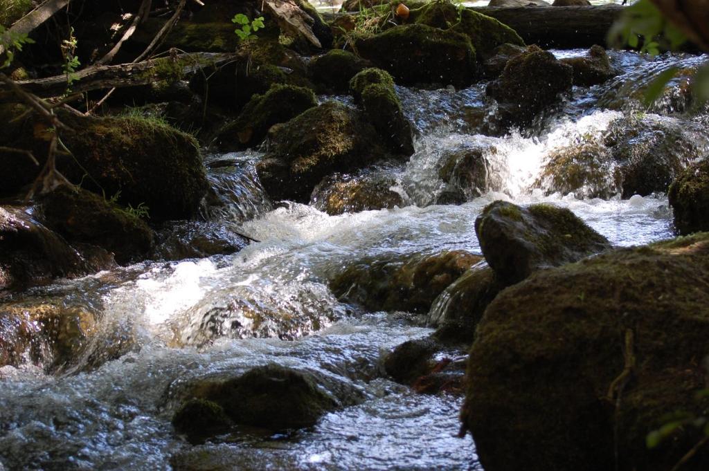 El Rincon De Las Hoces Del Duraton Burgomillodo Εξωτερικό φωτογραφία
